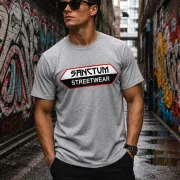 Sanctum Streetwear  T-Shirt - grey-heather  Dieses Rundhals T-Shirt überzeugt durch seinen zeitlosen Schnitt und dem hohen Tragekomfort.    Klassischer Rundhalsausschnitt  Single Jersey    Material: 100% Baumwolle  Oberstoff ( 180g/ m²)