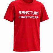 Sanctum Streetwear  T-Shirt Frameless - red  Dieses Rundhals T-Shirt überzeugt durch seinen zeitlosen Schnitt und dem hohen Tragekomfort.    Klassischer Rundhalsausschnitt  Single Jersey    Material: 100% Baumwolle  Oberstoff ( 180g/ m²)